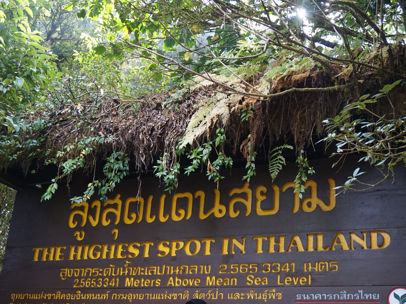 Chiang mai les meilleurs parcs nationaux doi inthanon